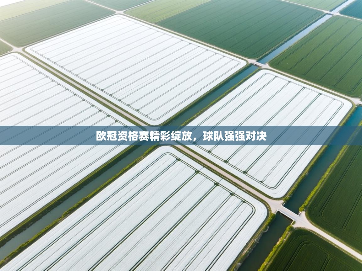 欧冠资格赛精彩绽放,球队强强对决 第1张