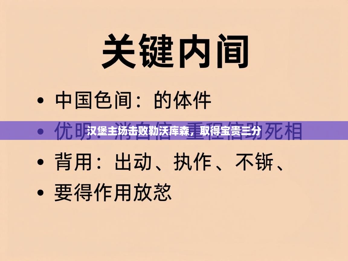 汉堡主场击败勒沃库森,取得宝贵三分 第1张