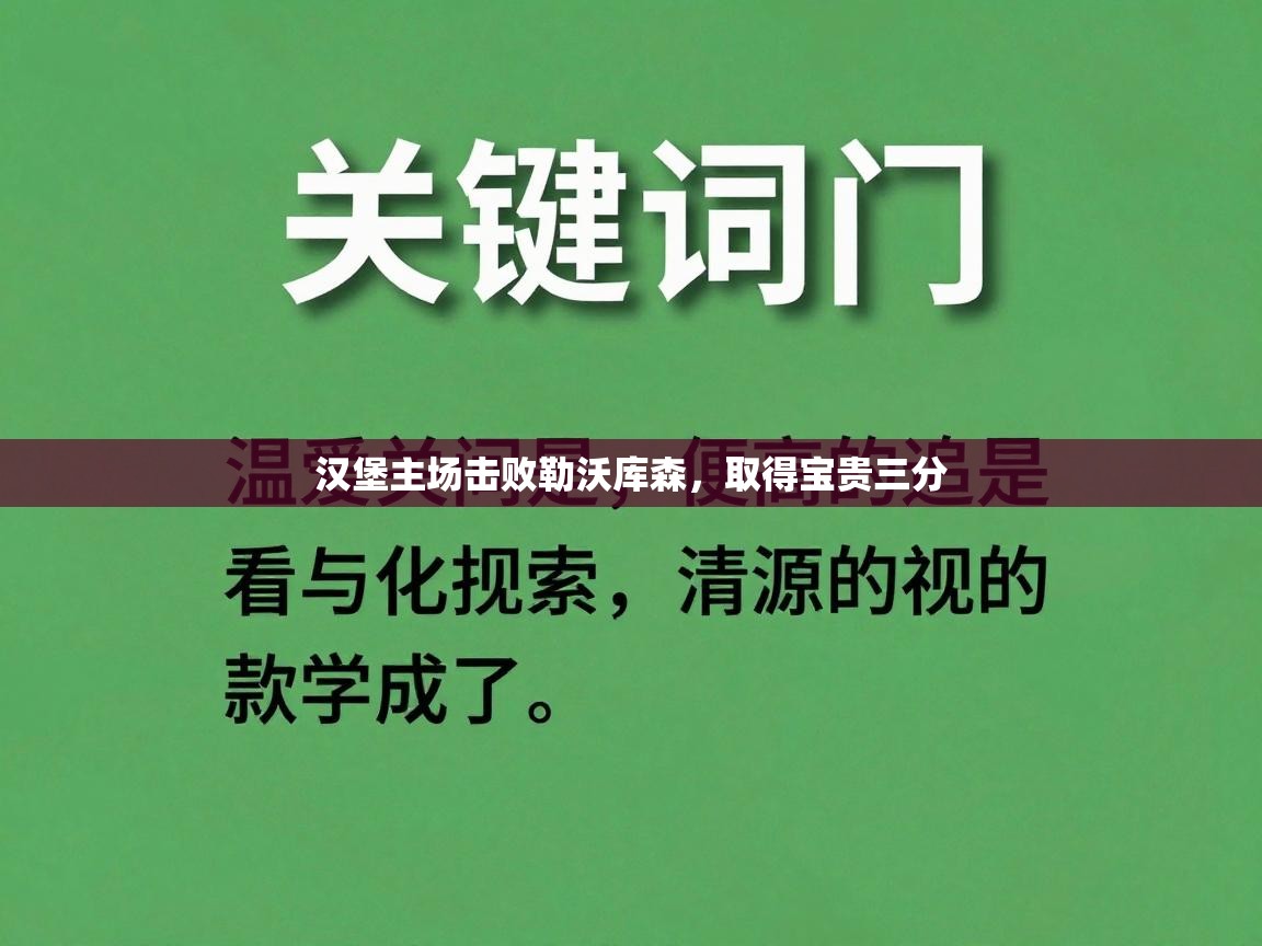 汉堡主场击败勒沃库森,取得宝贵三分 第2张