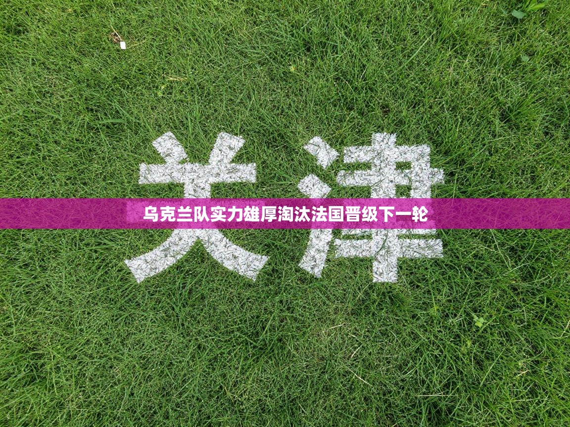 乌克兰队实力雄厚淘汰法国晋级下一轮 第1张